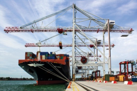 port terminal cranes